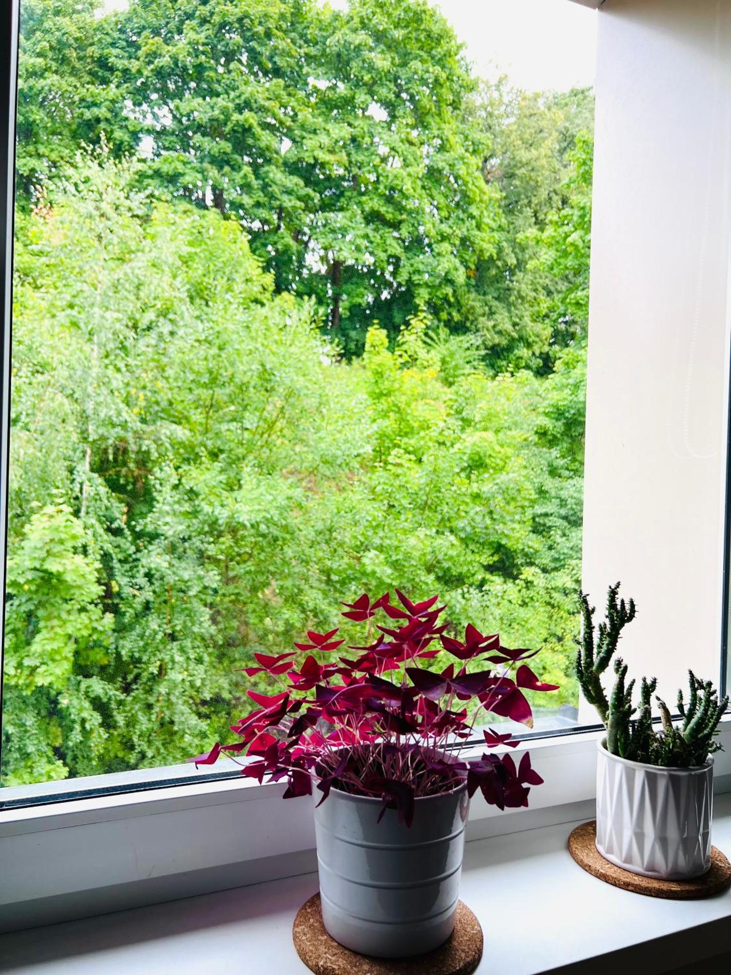 Comfy Classic Apartment In Trakai Luaran gambar